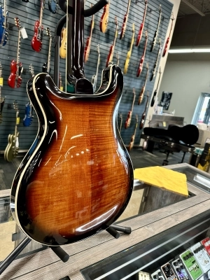 SE Hollow Body II Electric Guitar with Case - Black and Gold Burst 2